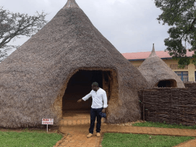 Campo verde com árvores e edifícios ao fundo